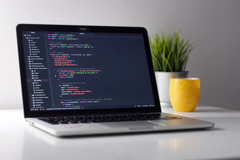 US STEM OPT and H1B Guidance